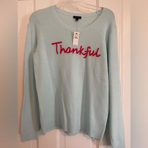 Light blue soft Talbots Thankful sweater NWT